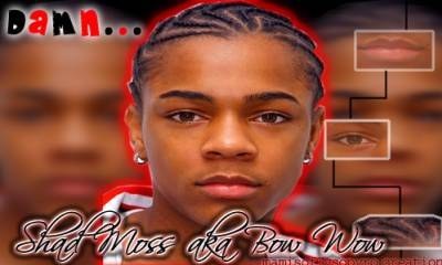 bow wow
